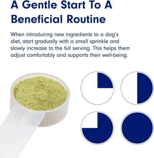 PetLab Co. ProBright Dental Powder - Dog Breath Freshener - Teeth Cleaning Made Easy – Targets Tartar & Bad Breath - Formulated for Small Dogs - Image 8