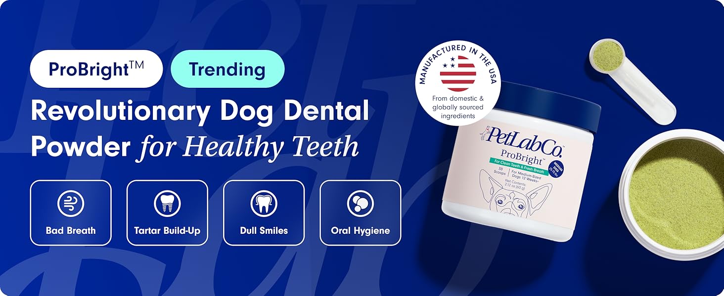 Dental Care for Dogs