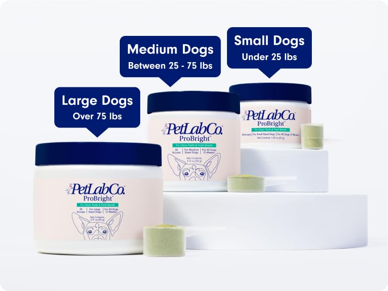 ProBright Dental Powder for dogs