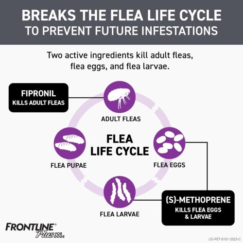 FRONTLINE Plus Flea and Tick Treatment for Large Dogs Up to 45 to 88 lbs. 3 Treatments - Image 3