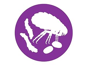 Frontline Plus for Dogs treatment kills and protects against fleas, flea eggs and larvae