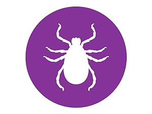 Frontline Plus for Dogs works to kill ticks