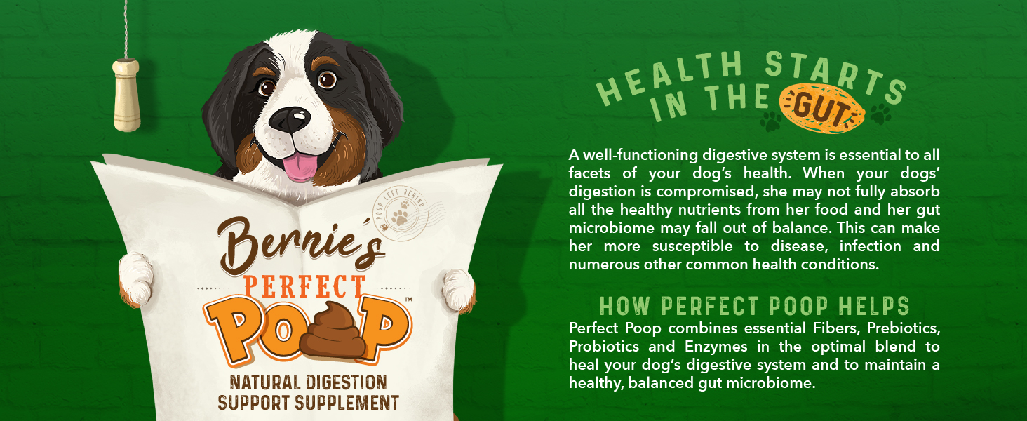 Health Starts In The Gut