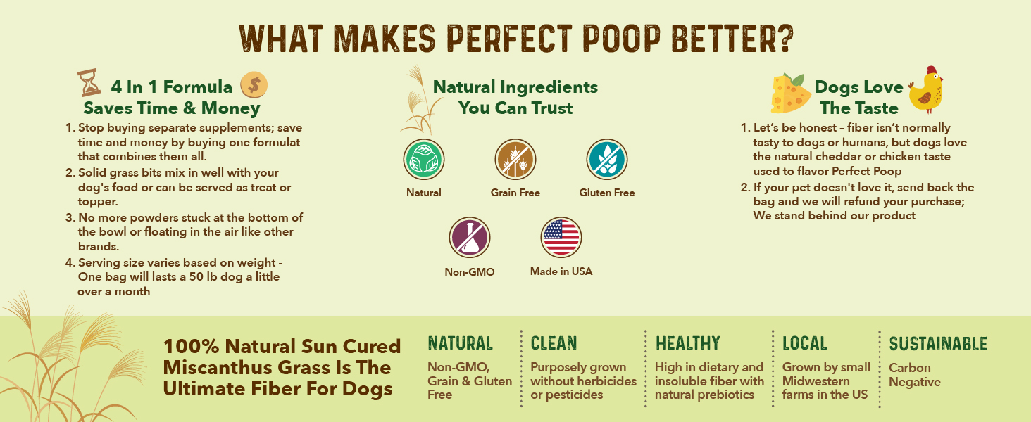 What Makes Perfect Poop Better?