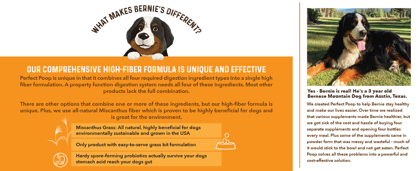 What Makes Bernie's Different?