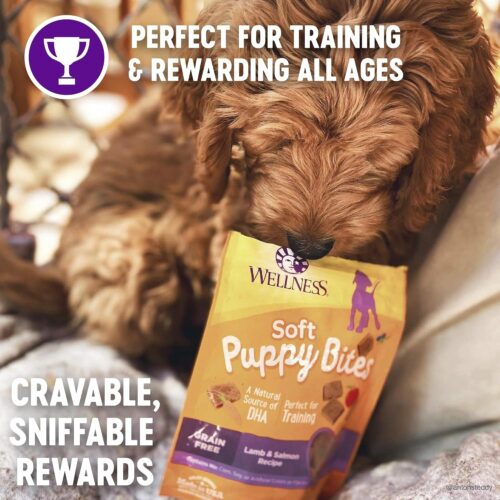 Wellness Puppy Treats, Natural, Training Treat, Grain Free, Soft Lamb & Salmon (8 Ounce Bag) - Image 3