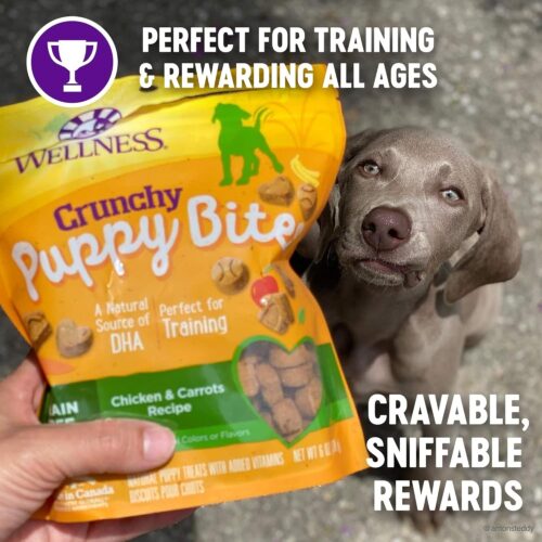 Wellness Puppy Treats, Natural, Training Treat, Grain Free, Soft Lamb & Salmon (8 Ounce Bag) - Image 9