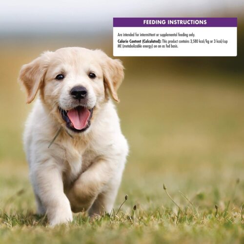Wellness Puppy Treats, Natural, Training Treat, Grain Free, Soft Lamb & Salmon (8 Ounce Bag) - Image 12