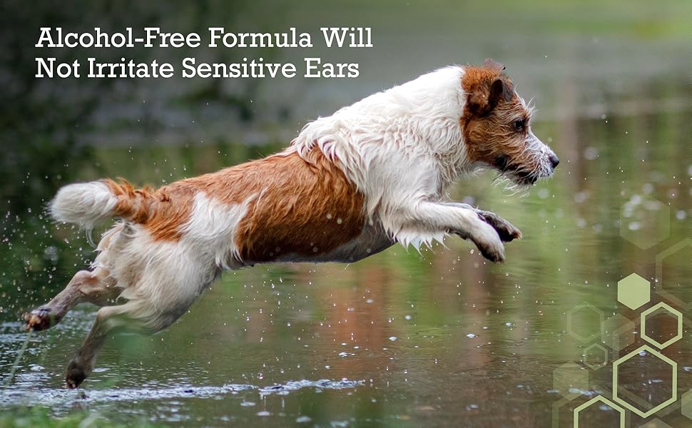 pet md ear wipes aloe vera and eucalyptus for dogs