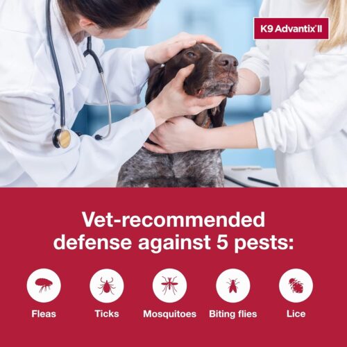 K9 Advantix II XL Dog Vet-Recommended Flea, Tick & Mosquito Treatment & Prevention | Dogs Over 55 lbs. | 2-Mo Supply - Image 5