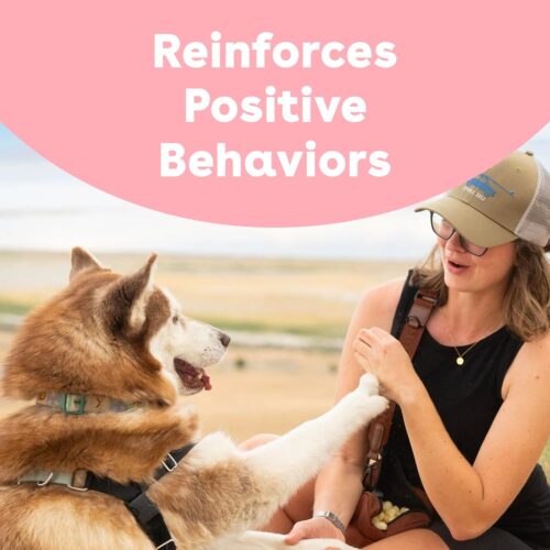 Pupford Freeze Dried Training Treats for Dogs & Puppies, 475+ Three Ingredient Bites (Beef Liver, 4 oz) - Image 48