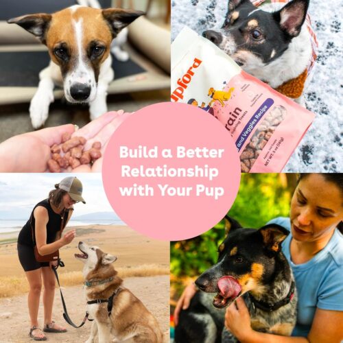 Pupford Freeze Dried Training Treats for Dogs & Puppies, 475+ Three Ingredient Bites (Beef Liver, 4 oz) - Image 59