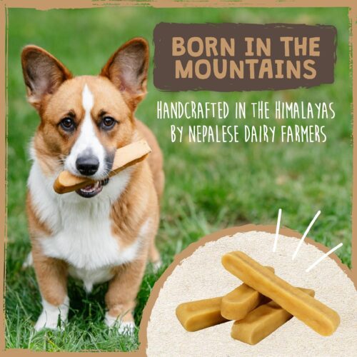 Mighty Paw Yak Cheese Dog Chews - All-Natural Treats for Dogs - High Protein Treat With 68 Grams Of Protein Per Chew - Delicious And Long Lasting - Odor Free With Limited Ingredients - (Large, 4 Pack) - Image 7