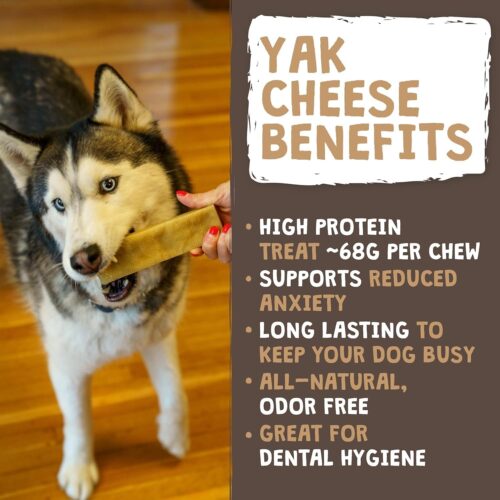 Mighty Paw Yak Cheese Dog Chews - All-Natural Treats for Dogs - High Protein Treat With 68 Grams Of Protein Per Chew - Delicious And Long Lasting - Odor Free With Limited Ingredients - (Large, 4 Pack) - Image 25