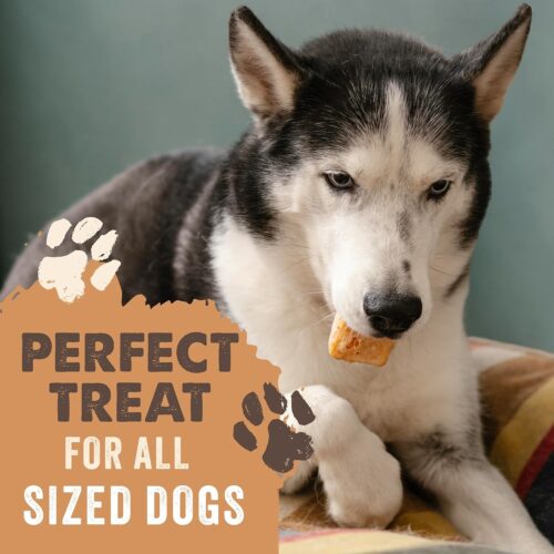 Mighty Paw Yak Cheese Dog Chews - All-Natural Treats for Dogs - High Protein Treat With 68 Grams Of Protein Per Chew - Delicious And Long Lasting - Odor Free With Limited Ingredients - (Large, 4 Pack) - Image 48