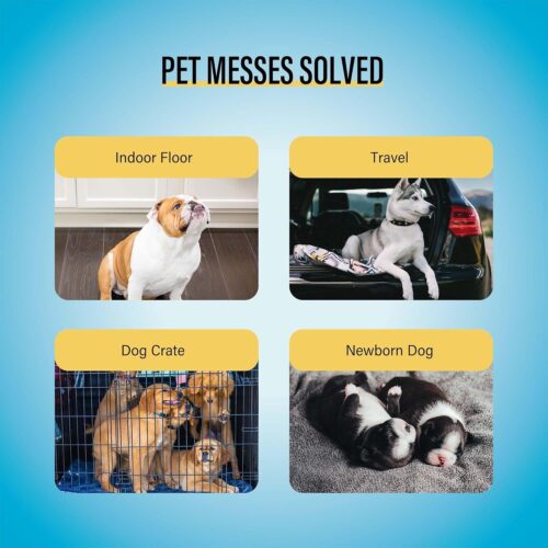 COCOYO Best Value 22"x22" Dog Training Pads 50 Count | Dog Pee Pads | Super Absorbent Puppy Pads,White - Image 6