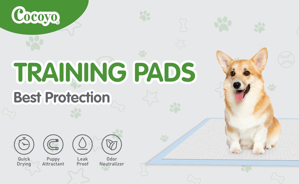 pet training pads