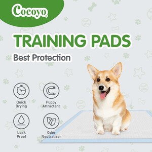 training pads