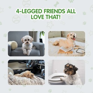 disposable dog training pads