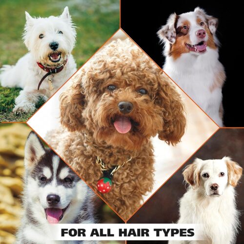 Wahl USA Dry Skin & Itch Relief Pet Shampoo for Dogs – Oatmeal Formula with Coconut Lime Verbena & Pet Friendly Formula, 24 Oz - Model 820004A - Image 9