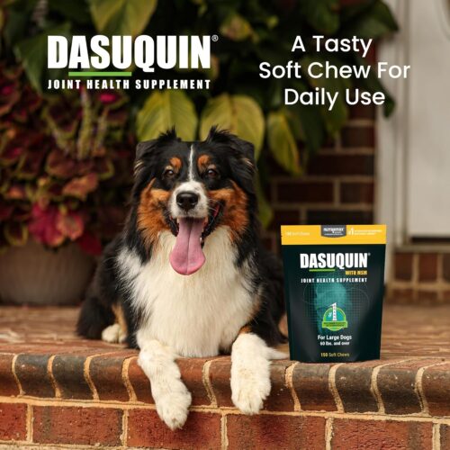 Nutramax Laboratories Dasuquin with MSM Joint Health Supplement for Large Dogs - With Glucosamine, MSM, Chondroitin, ASU, Boswellia Serrata Extract, and Green Tea Extract, 84 Soft Chews - Image 13