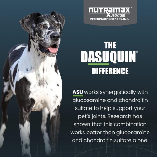 Nutramax Laboratories Dasuquin with MSM Joint Health Supplement for Large Dogs - With Glucosamine, MSM, Chondroitin, ASU, Boswellia Serrata Extract, and Green Tea Extract, 84 Soft Chews - Image 15
