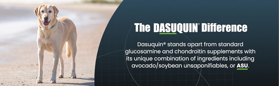 Dasuquin