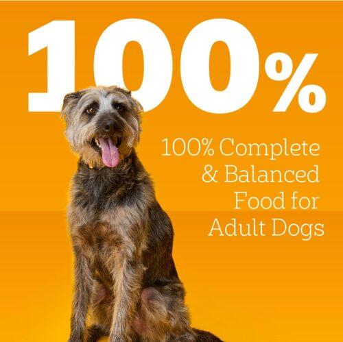 PEDIGREE CHOICE CUTS IN GRAVY Adult Canned Soft Wet Dog Food Variety Pack, with Beef and Country Stew, 13.2 oz. Cans (Pack of 12) - Image 34
